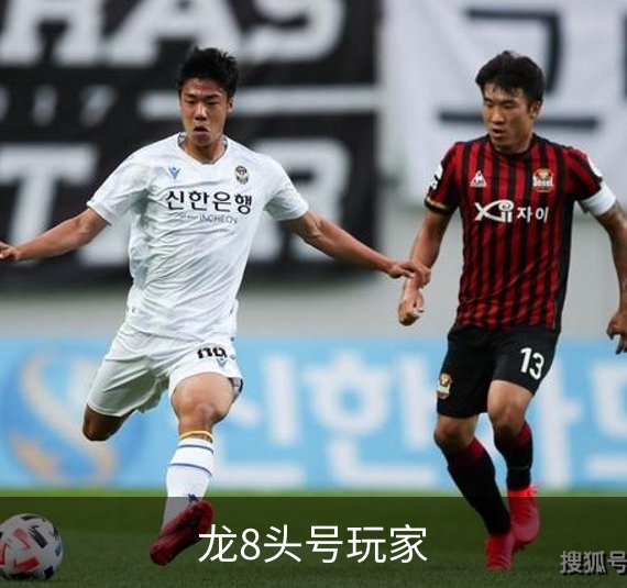 龙8头号玩家简介